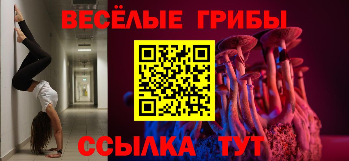 Шумерля  купить наркотики цена  Вход с VPN  Псилоцибиновые грибы мухоморы 